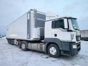 Фотография Термо Кинг Стикс 1