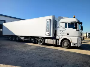 Фотография Термо Кинг Стикс 4